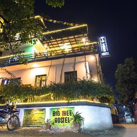 Big Tree Hostel Катманду Экстерьер фото