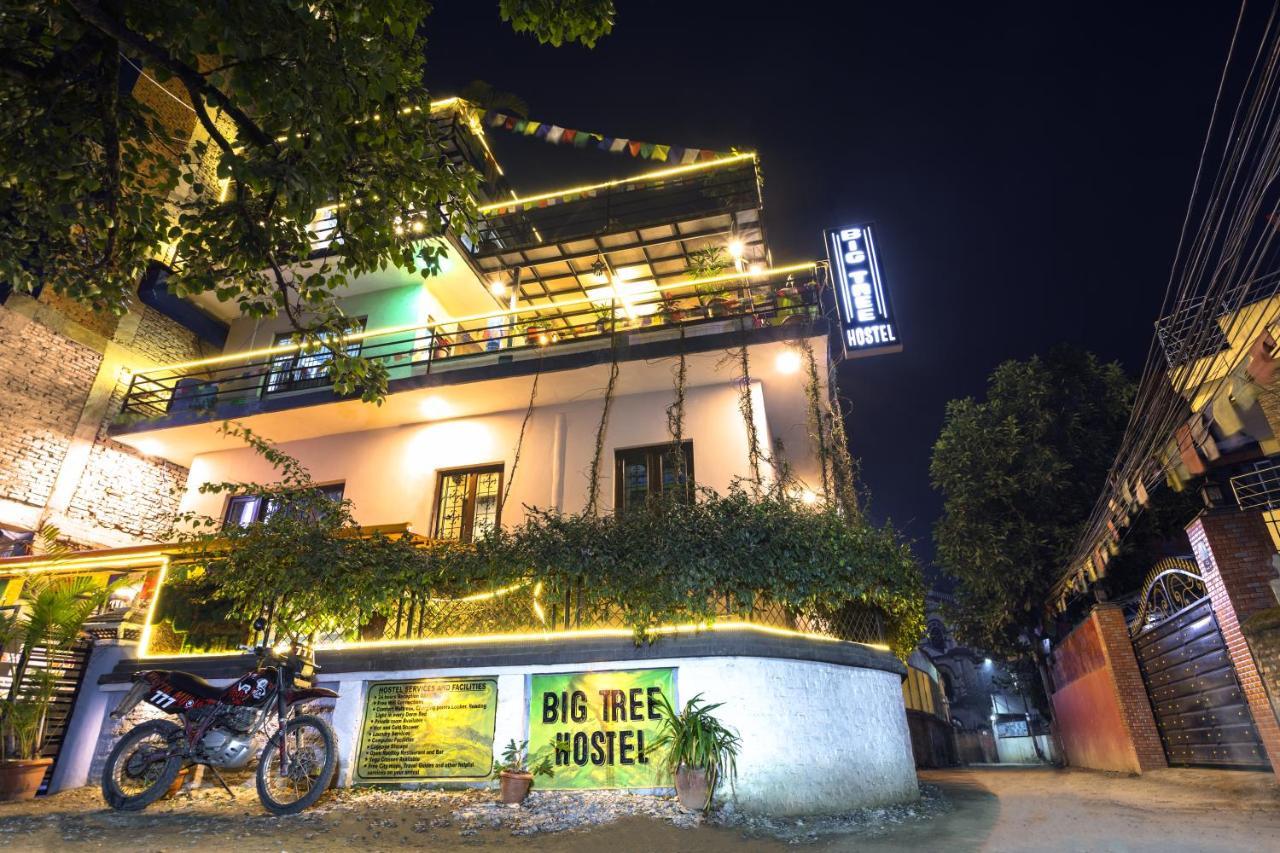 Big Tree Hostel Катманду Экстерьер фото